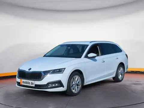 Annonce SKODA OCTAVIA Diesel 2023 d'occasion 