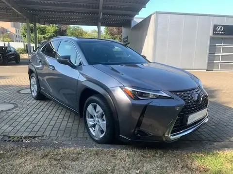 Annonce LEXUS UX Essence 2020 d'occasion 