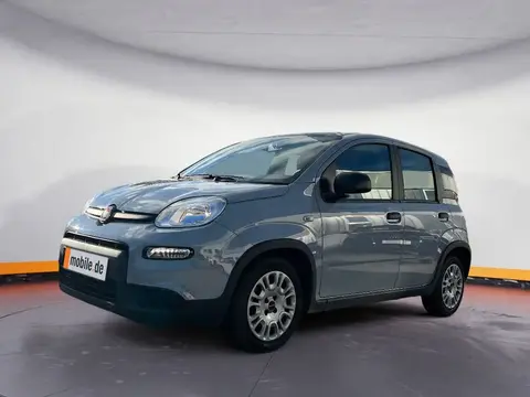 Used FIAT PANDA Petrol 2023 Ad 