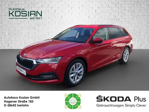 Annonce SKODA OCTAVIA Diesel 2021 d'occasion 