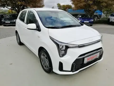 Used KIA PICANTO Petrol 2024 Ad 