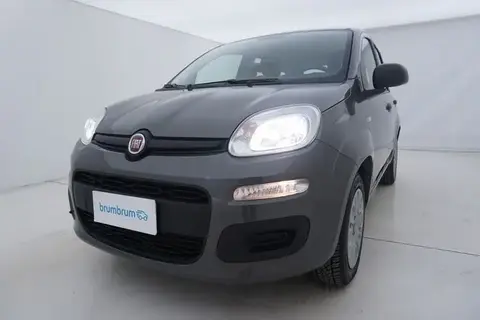 Used FIAT PANDA Petrol 2020 Ad 