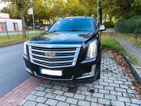 Annonce CADILLAC ESCALADE Essence 2018 d'occasion 