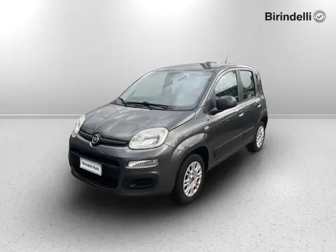 Annonce FIAT PANDA Essence 2018 d'occasion 