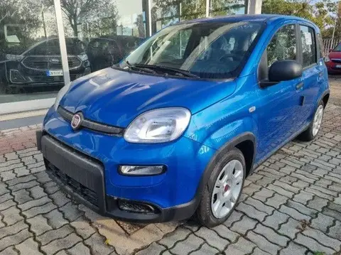 Annonce FIAT PANDA Hybride 2024 d'occasion 