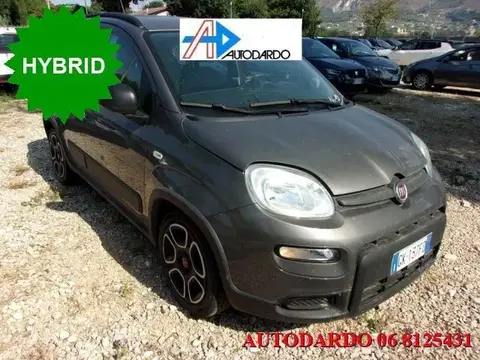 Used FIAT PANDA Hybrid 2022 Ad 