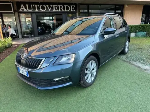 Annonce SKODA OCTAVIA Diesel 2019 d'occasion 