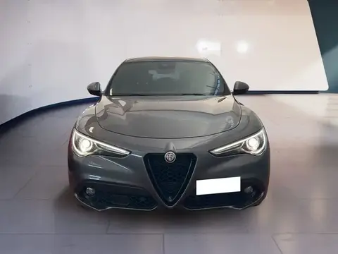 Used ALFA ROMEO STELVIO Diesel 2022 Ad 