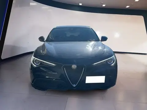 Annonce ALFA ROMEO STELVIO Diesel 2021 d'occasion 