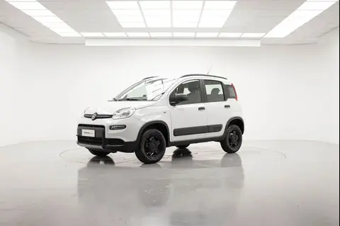 Annonce FIAT PANDA Essence 2019 d'occasion 