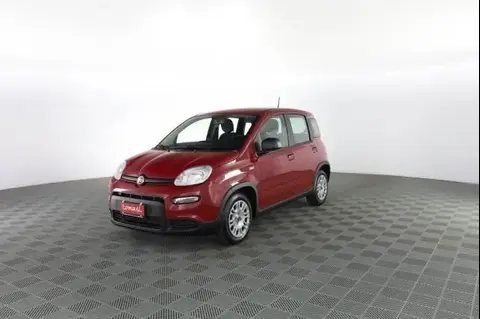 Annonce FIAT PANDA Hybride 2024 d'occasion 