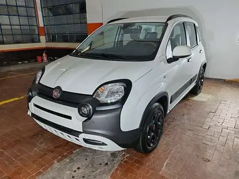 Annonce FIAT PANDA Hybride 2023 d'occasion 