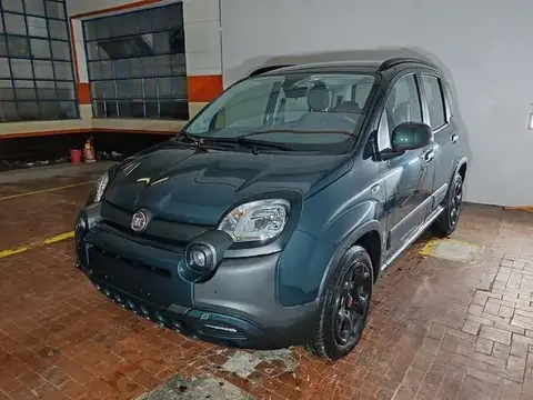 Annonce FIAT PANDA Hybride 2023 d'occasion 