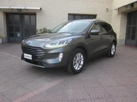 Annonce FORD KUGA Diesel 2020 d'occasion 