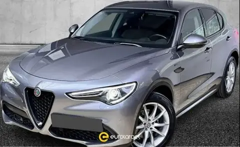 Used ALFA ROMEO STELVIO Petrol 2020 Ad 