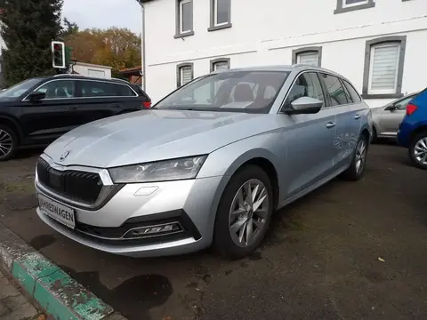 Used SKODA OCTAVIA Diesel 2023 Ad 