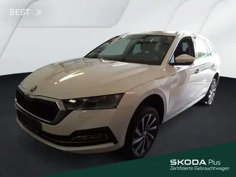 Annonce SKODA OCTAVIA Diesel 2020 d'occasion 