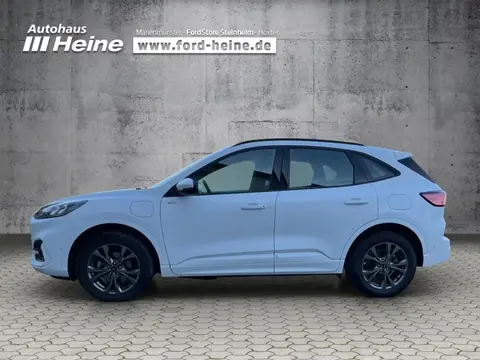 Annonce FORD KUGA Hybride 2021 d'occasion 