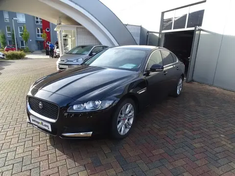 Used JAGUAR XF Diesel 2017 Ad 