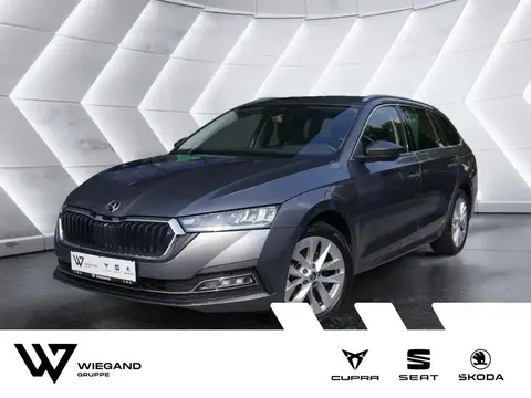 Used SKODA OCTAVIA Petrol 2023 Ad 