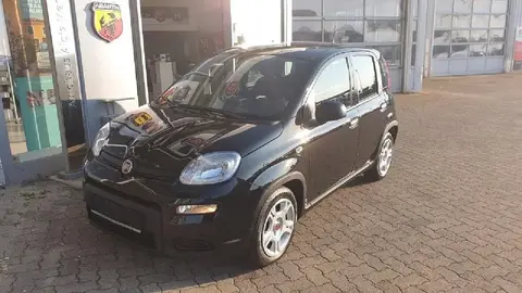 Used FIAT PANDA Petrol 2024 Ad 