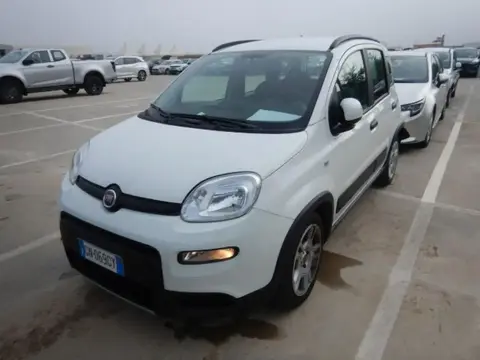 Used FIAT PANDA Hybrid 2023 Ad 