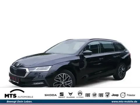 Annonce SKODA OCTAVIA Diesel 2020 d'occasion 