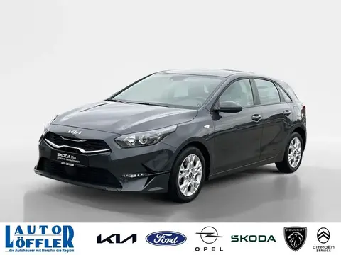 Used KIA CEED Petrol 2024 Ad 