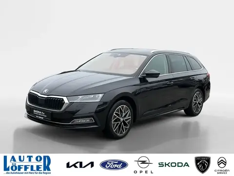 Used SKODA OCTAVIA Diesel 2020 Ad 