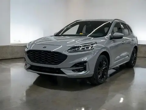 Used FORD KUGA Hybrid 2024 Ad 