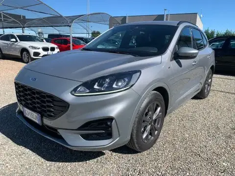 Used FORD KUGA Hybrid 2022 Ad 