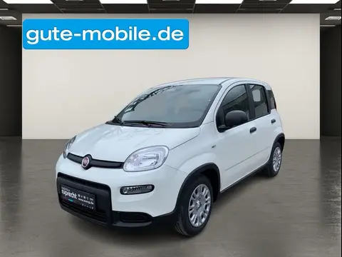 Annonce FIAT PANDA Essence 2024 d'occasion 