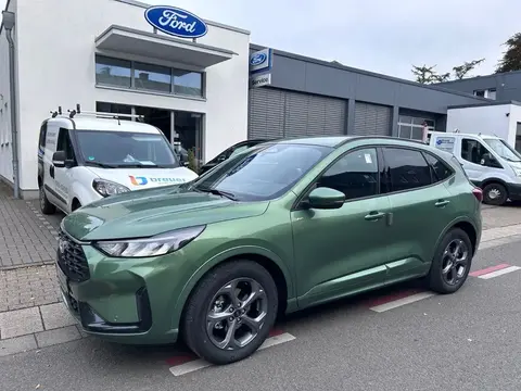 Annonce FORD KUGA Essence 2024 d'occasion 