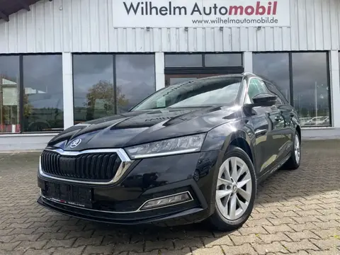 Annonce SKODA OCTAVIA Diesel 2021 d'occasion 