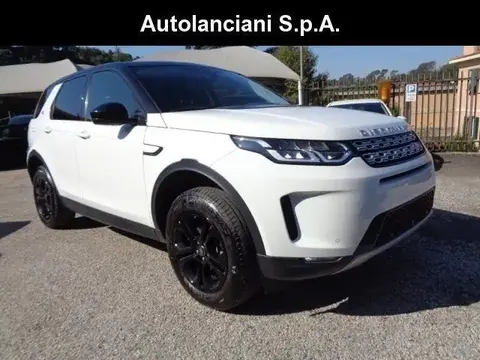 Used LAND ROVER DISCOVERY Hybrid 2020 Ad 