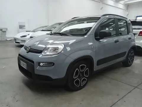 Used FIAT PANDA Hybrid 2022 Ad 