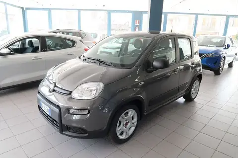 Annonce FIAT PANDA Hybride 2023 d'occasion 