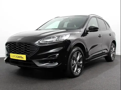 Used FORD KUGA Hybrid 2023 Ad 