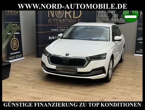 Annonce SKODA OCTAVIA Diesel 2022 d'occasion 