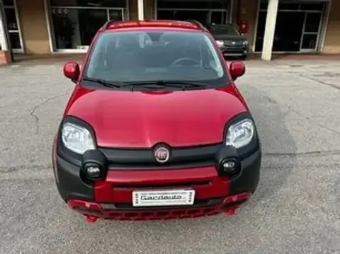 Annonce FIAT PANDA Hybride 2024 d'occasion 