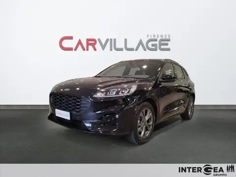 Used FORD KUGA Diesel 2023 Ad 