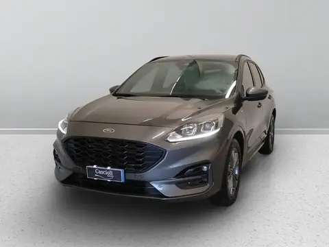 Used FORD KUGA Hybrid 2020 Ad 