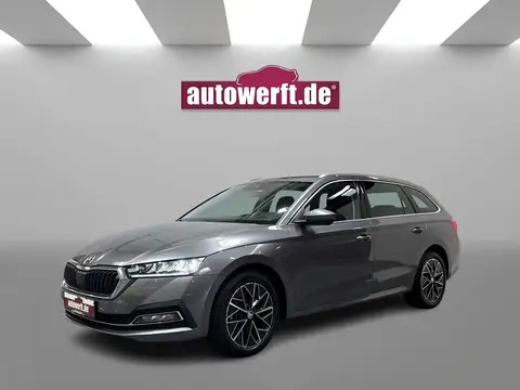 Used SKODA OCTAVIA Diesel 2022 Ad 