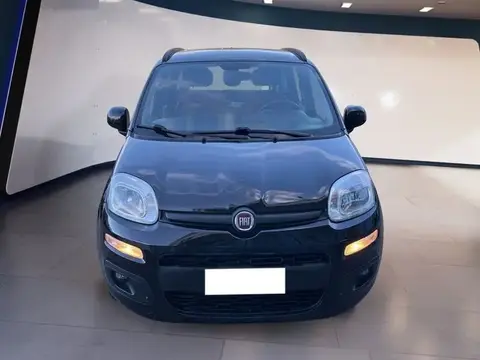 Annonce FIAT PANDA Essence 2020 d'occasion 