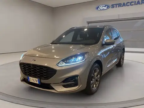 Used FORD KUGA Diesel 2021 Ad 