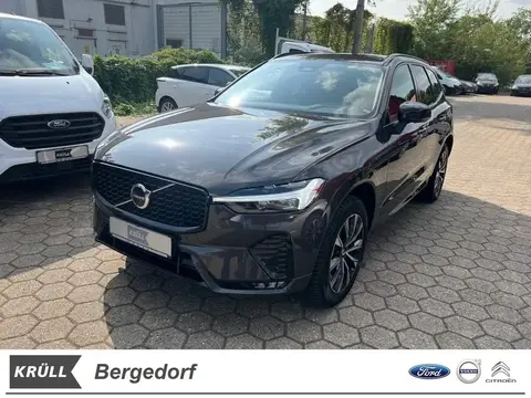 Annonce VOLVO XC60 Essence 2024 d'occasion 