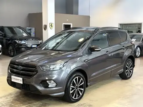 Annonce FORD KUGA Diesel 2019 d'occasion 