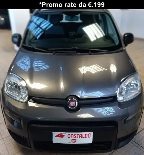 Used FIAT PANDA Hybrid 2022 Ad 