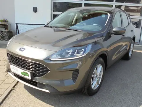 Used FORD KUGA Petrol 2021 Ad 