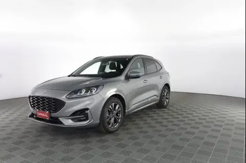 Annonce FORD KUGA Diesel 2021 d'occasion 